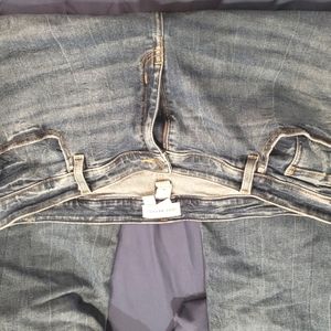 Lane Bryant Jeans